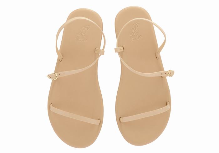 Sandales Bride Arrière Ancient Greek Sandals Niove   | YHX-2266322